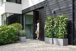 vivo next quadrat 40cm living beton